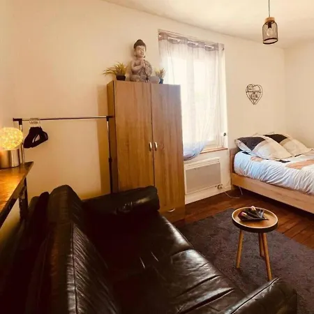 T1 Cosy Bien Equipe, Wifi, Centre D'angers Avec Vayny *