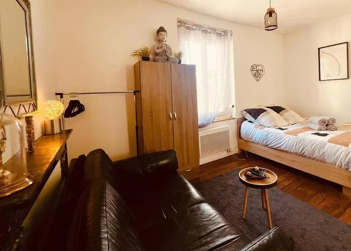 T1 Cosy Bien Equipe, Centre D'angers *