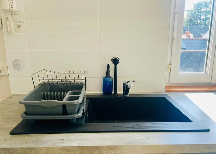 T1 Cosy Bien Equipe, Centre D'angers Angers