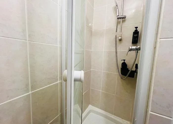 T1 Cosy Bien Equipe, Centre D'angers Angers