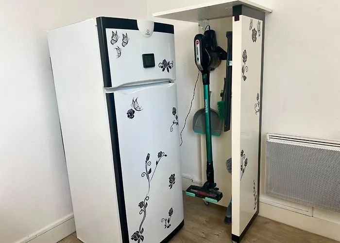 T1 Cosy Bien Equipe, Centre D'angers *